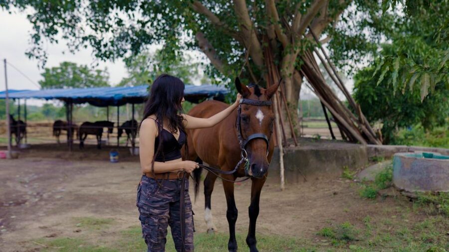 Equestrian Escape: Horse Safari Adventure - Is $104 Per Person Good Value?