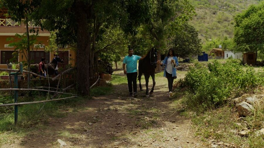 Equestrian Escape: Horse Safari Adventure - Who Will Enjoy This Most?
