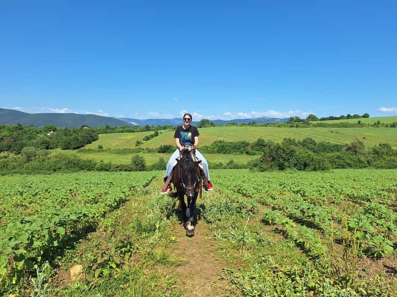Escape Sofia: horse ride through Bulgaria´s beauty - Booking details that can save trouble
