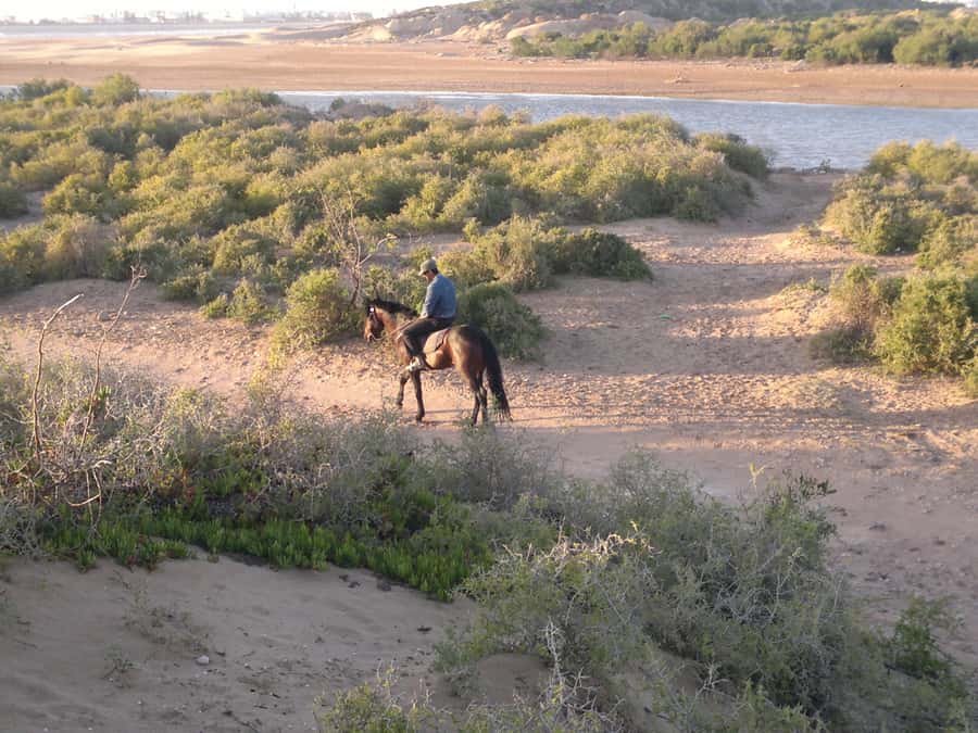 Essaouira: 3-Hour Horseback Ride - Key points to know before booking