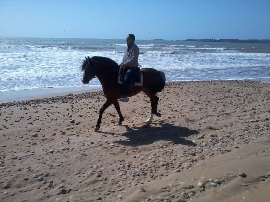 Essaouira: 3-Hour Horseback Ride - Leaving Essaouira for Diabat on horseback