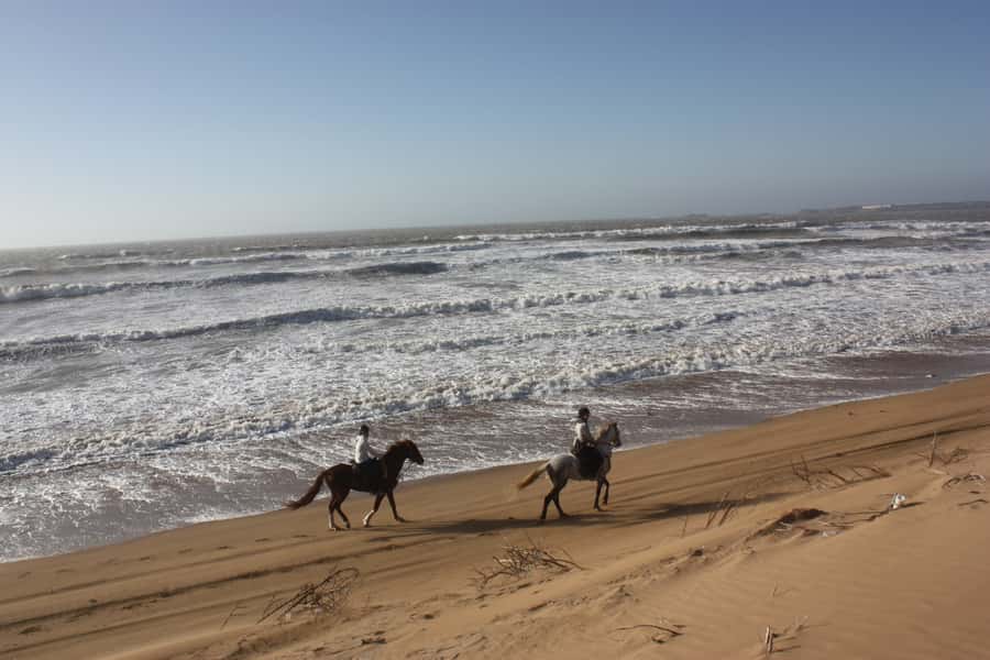 Essaouira: 3-Hour Horseback Ride - Riding Diabat beach with Mogador Island in view