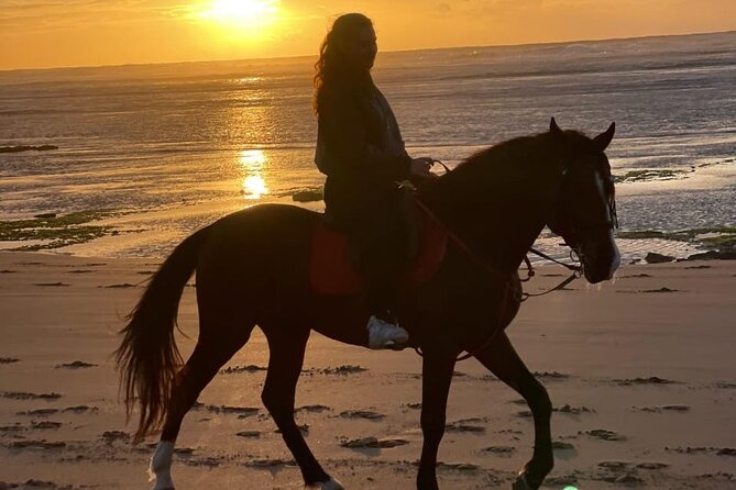 Essaouira Beach Horse Rides &Treks for All Levels - From Diabat to the Atlantic shore