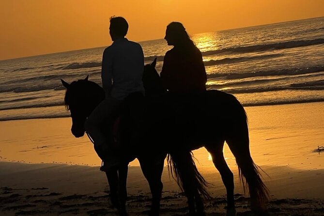 Essaouira Beach Horse Rides &Treks for All Levels - What the one-hour ride gives you