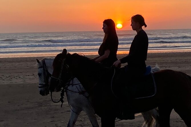 Essaouira Beach Horse Rides &Treks for All Levels - Sunset rides and the Moroccan tea finish