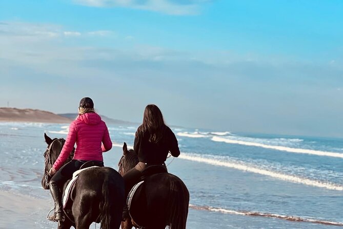 Essaouira Beach Horse Rides &Treks for All Levels - Is $23.24 good value?