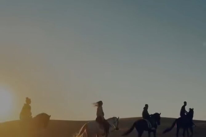 Essaouira Beach Horse Rides &Treks for All Levels - Practical details before you ride
