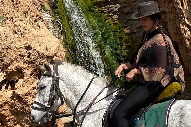 Essaouira Beach Horse Rides &Treks for All Levels - Who should book this ride?