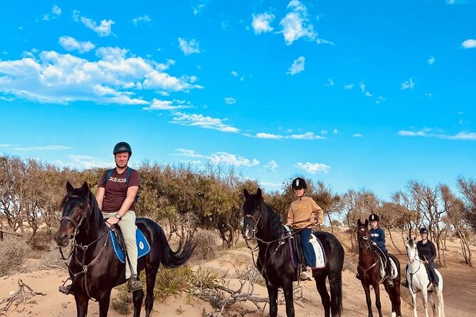 Essaouira Beach Horse Rides &Treks for All Levels - Matching the horse to your ability