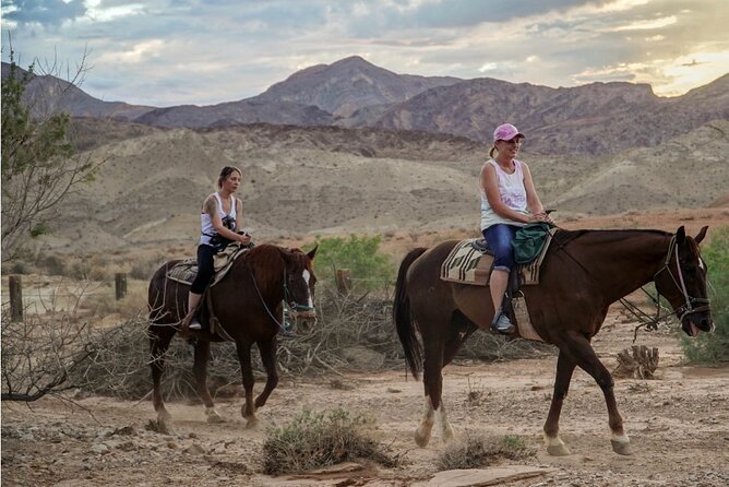 Evening Horseback Ride in Las Vegas - Calm horses and first-time riding