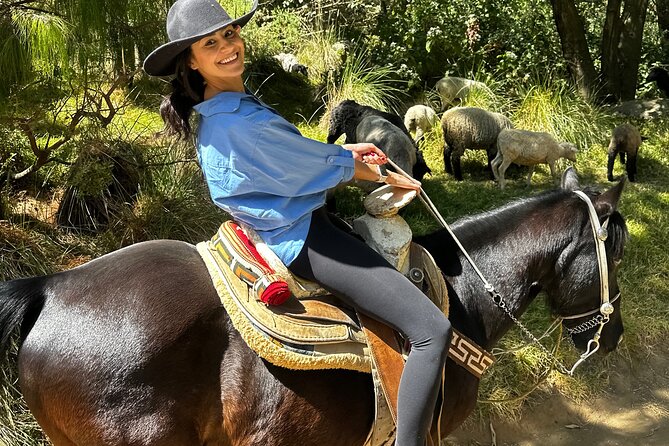 Exclusive Horseback Ride w/ Mexican Charros Family in México City - Riding under the pine trees
