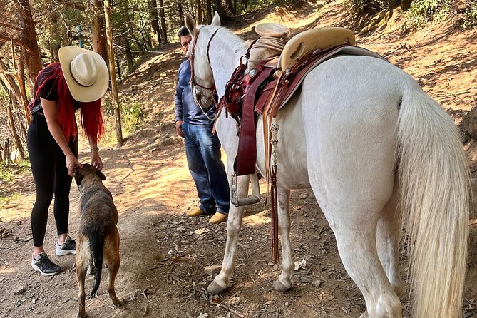 Exclusive Horseback Ride w/ Mexican Charros Family in México City - Lunch, tacos, and local food stops