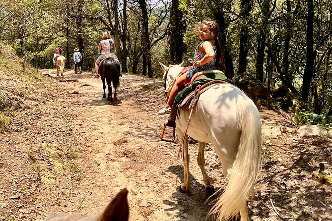 Exclusive Horseback Ride w/ Mexican Charros Family in México City - What the private format changes