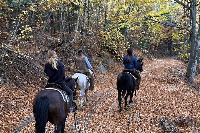 Exclusive Sofia: Nevsky, Vitosha Hoof, Boyana, Horse Ride & Spa - Sapareva Banya and the mineral-water finish
