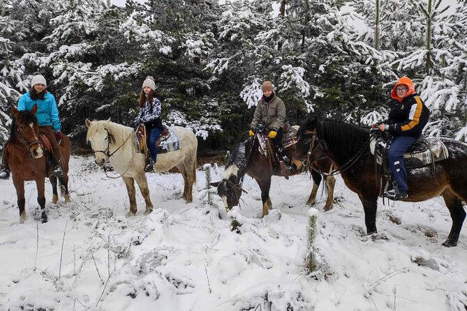 Exclusive Sofia: Nevsky, Vitosha Hoof, Boyana, Horse Ride & Spa - What the $281.77 price really buys