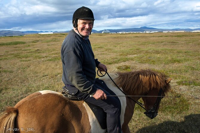 Experience Countryside of Iceland by Horseback Riding - Understanding the Icelandic horse and its tölt