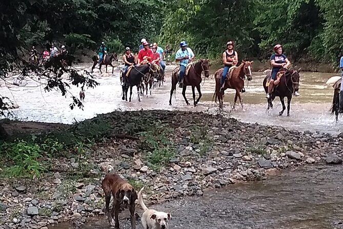 Experience Horse Riding, ATV & Zipline from Puerto Vallarta - ATV trails bring the speed