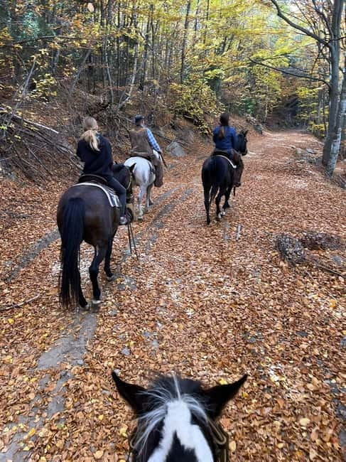 ✨Experience Sofia - nature, history, horse riding and SPA✨ - A Bulgarian lunch in the mountain area