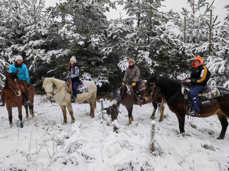 ✨Experience Sofia - nature, history, horse riding and SPA✨ - Horse riding through Plana Mountain