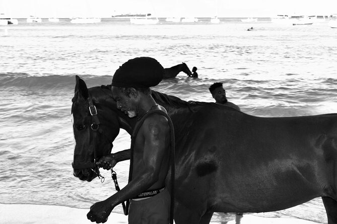 Experience the Swimming Horses at Carlisle Bay & the Garrison - Touring the Barbados Garrison after the beach