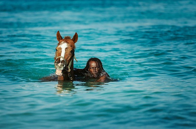 Experience the Swimming Horses at Carlisle Bay & the Garrison - Is $35 good value?