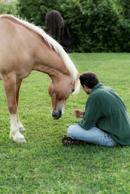 Experiential activity with horses: an experience in connection - Key points to know before you go
