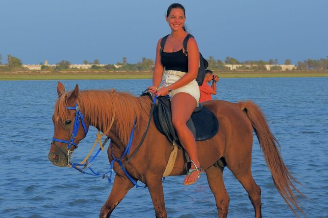 Explore Djerba by camel and horse - Leaving Djerba’s roads for the Berber tracks