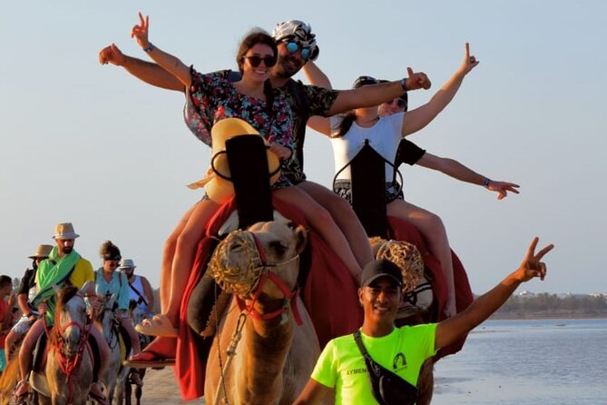 Explore Djerba by camel and horse - Pausing beside the Lagoon of Djerba