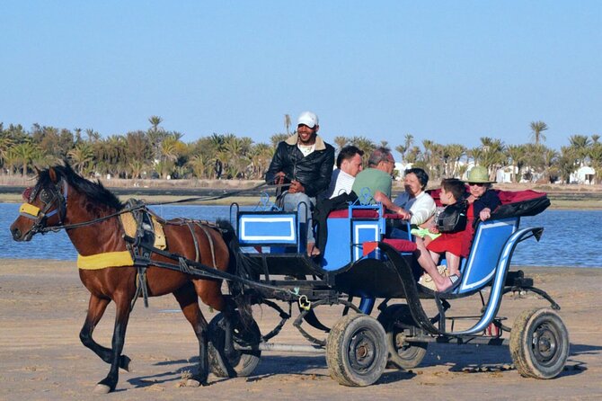 Explore Djerba by camel and horse - Returning by a different animal
