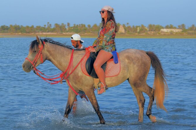 Explore Djerba by camel and horse - How the guides and group size affect the ride