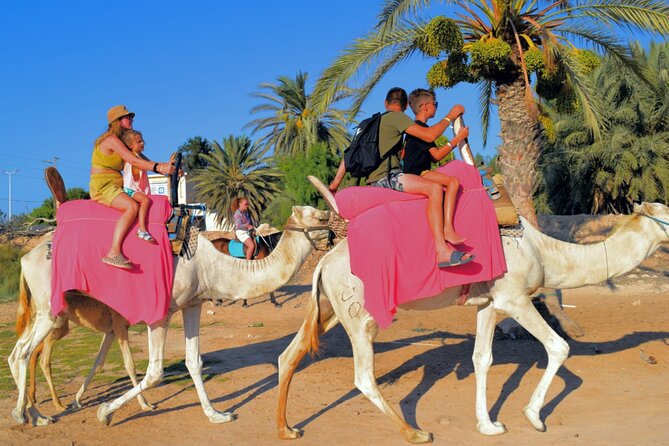Explore Djerba by camel and horse - What to wear and how to prepare