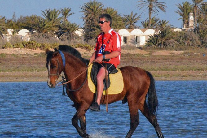 Explore Djerba by camel and horse - Choosing a horse, camel, or carriage