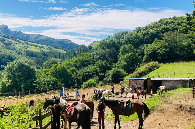 Explore Scenic Mountains and Horseback Riding - Who will enjoy this outing most