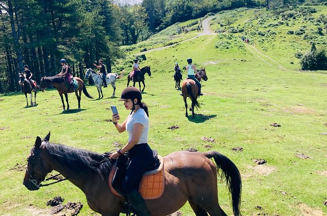 Explore Scenic Mountains and Horseback Riding - Timing, transfers, and practical limits