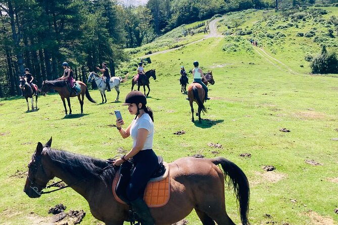 Explore Scenic Mountains and Horseback Riding - A 1.5-hour ride through mountain countryside
