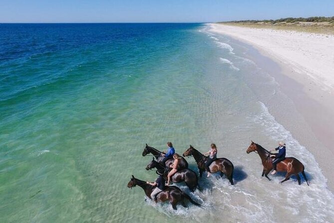 Explore The Desert &The Sea on a Horse Riding Cruise in Hurghada - Riding through the desert