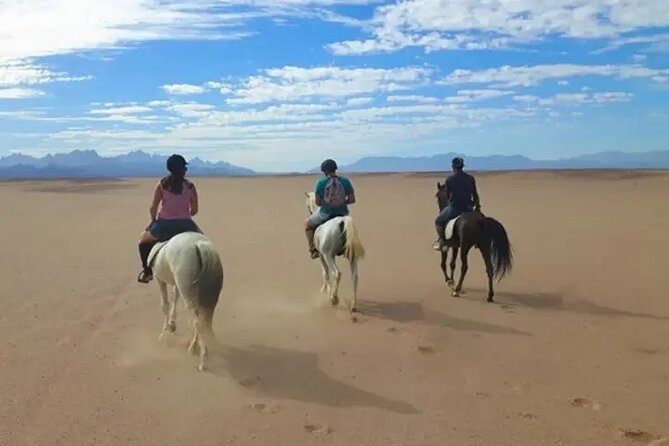 Explore The Desert &The Sea on a Horse Riding Cruise in Hurghada - Moving from sand to the Red Sea