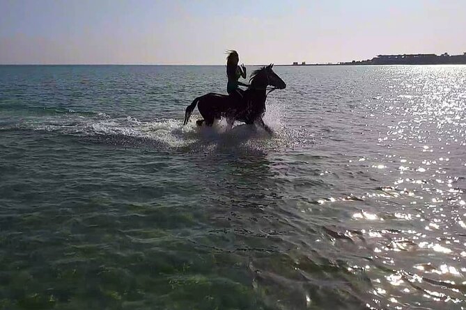 Explore The Desert &The Sea on a Horse Riding Cruise in Hurghada - Safety, children, and riding ability