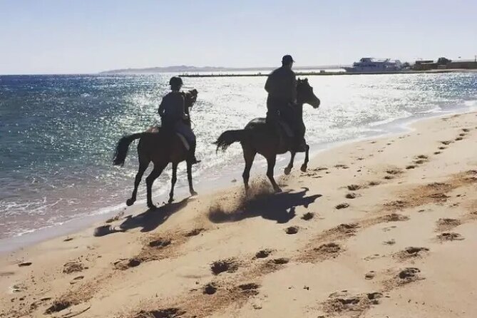 Explore The Desert &The Sea on a Horse Riding Cruise in Hurghada - The role of the guide and staff