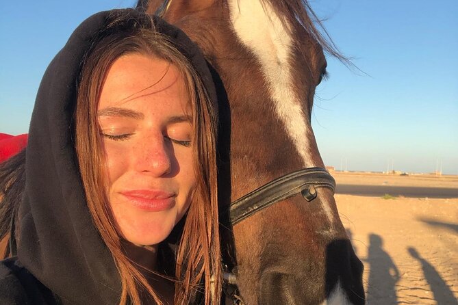 Explore The Desert &The Sea on a Horse Riding Cruise in Hurghada - Who should book this activity?