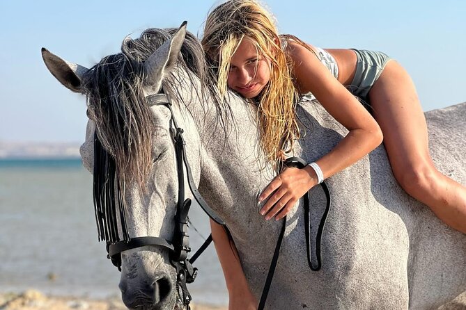 Explore The Desert &The Sea on a Horse Riding Cruise in Hurghada - What the three-hour outing includes