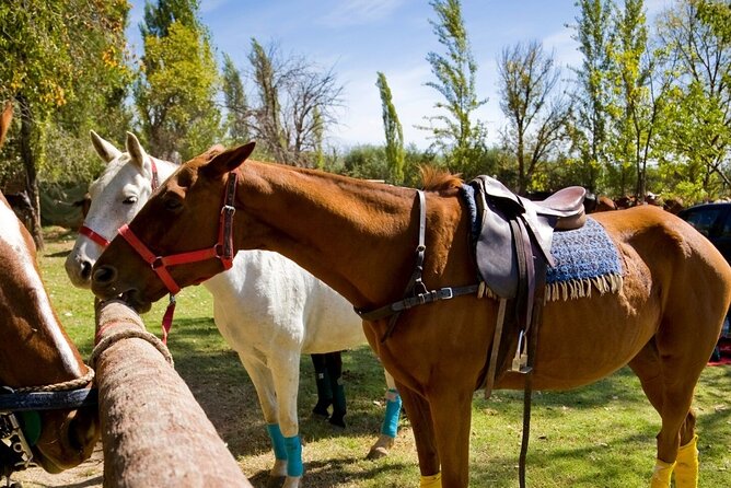 Extreme Horses Adventure with ATV, Ziplines & Cenote - Three ziplines, bridges, and a cenote swim