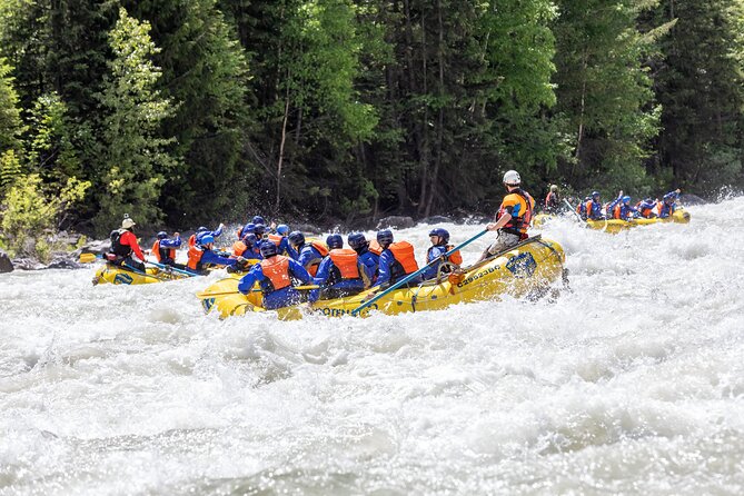 Extreme Whitewater Rafting on Kicking Horse River - Four hours through the Kicking Horse River canyon