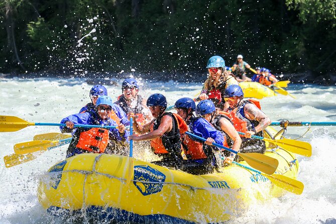 Extreme Whitewater Rafting on Kicking Horse River - Is $101.39 a fair price?