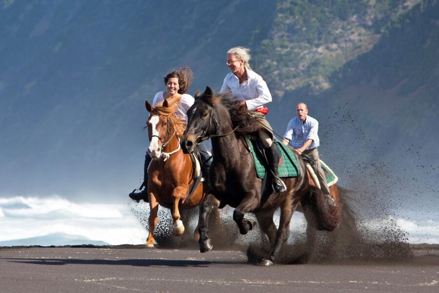 Faial Island: Horseback Riding (3 hrs - Experienced Riders) - Starting in Cedros with a Calm, Well-Trained Horse