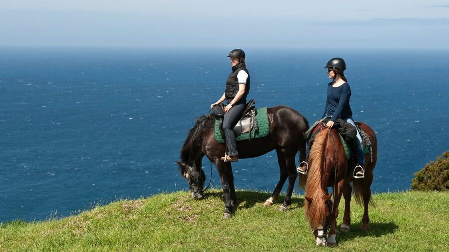 Faial Island: Horseback Riding (3 hrs - Experienced Riders) - From Walking Pace to Trot and Canter