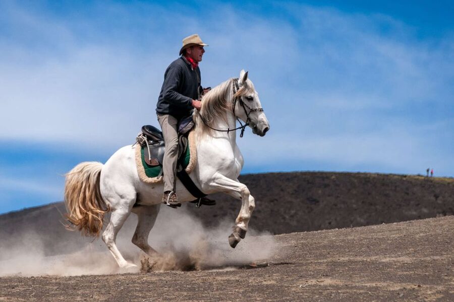Faial Island: Horseback Riding (3 hrs - Experienced Riders) - Who Should Book This Ride?