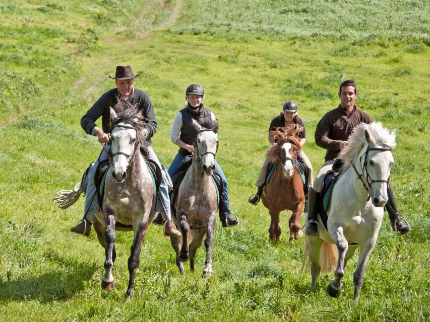 Faial Island: Horseback Riding (3 hrs - Experienced Riders) - Riding Past Farmhouses and Villages