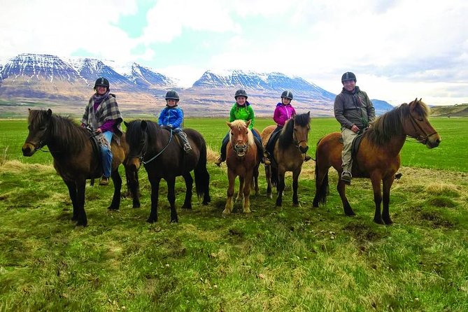 Family Friendly Horse Riding Tour in Skagafjörður - A Short Ride With a Very Icelandic Feel