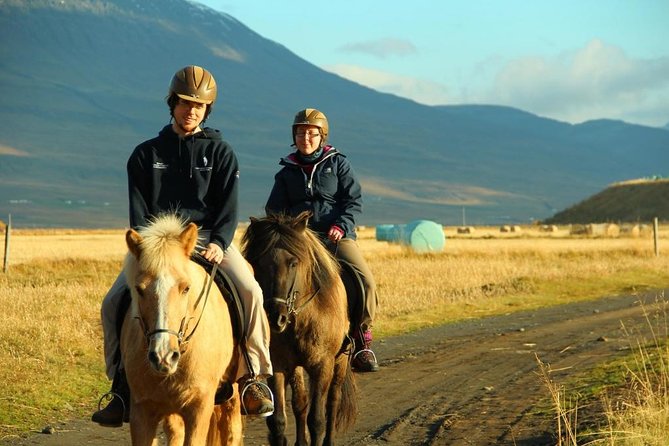 Family Friendly Horse Riding Tour in Skagafjörður - Why Icelandic Horses Suit New Riders